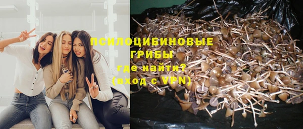 бошки Горняк