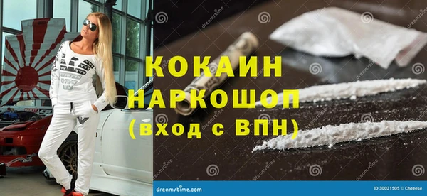 бошки Горняк