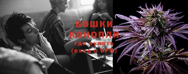 бошки Горняк
