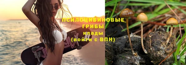 бошки Горняк